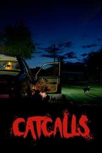 Poster de Catcalls