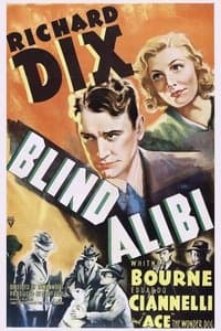 Poster de Blind Alibi