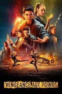 Poster de Vengeance aux poings