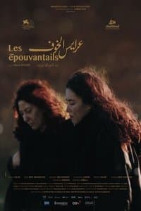 Poster de Les Épouvantails