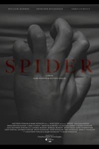 Poster de Spider