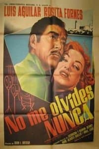 Poster de No me olvides nunca