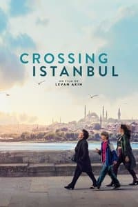 Poster de Crossing Istanbul