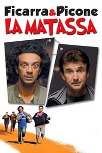 Poster de La matassa