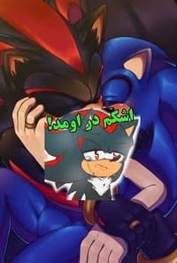 Poster de Sonic & Shadow Lovely Lavat