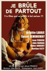 Poster de Je brûle de partout