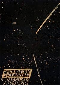Poster de War of Stars