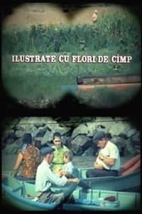 Ilustrate cu flori de câmp poster