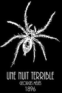 Poster de Une nuit terrible