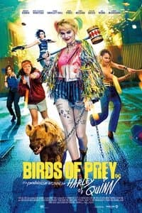 Poster de Birds of Prey et la fantabuleuse histoire de Harley Quinn