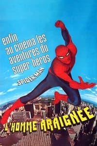 Poster de L'Homme araignée