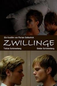 Zwillinge poster