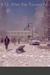 Poster de 9/11: After The Towers Fell