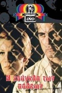 Poster de The Jungle of Cities