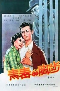 Poster de 青春的脚步