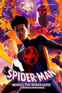 Poster de Spider-Man : Across the Spider-Verse