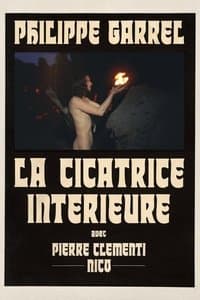 Poster de La Cicatrice intérieure