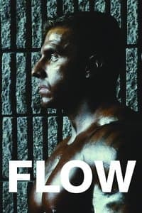 Poster de Flow