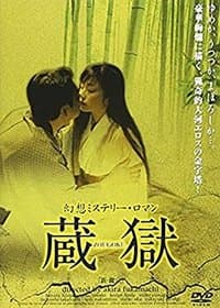 Poster de The Secret in the Attic