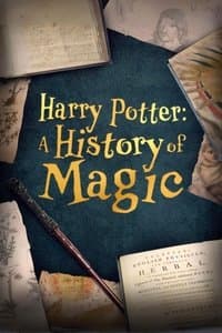 Poster de Harry Potter, aux origines de la magie
