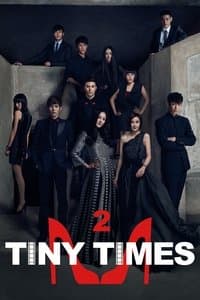 Poster de Tiny Times 2