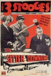 Poster de The Sitter Downers