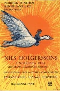 Poster de Wonderful Adventures of Nils