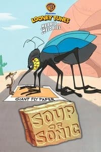 Poster de Soup or Sonic