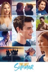 Poster de The Last Summer