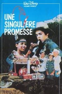 Poster de Une Singulière Promesse