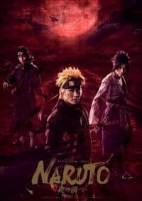 Poster de Live Spectacle NARUTO ~Song of the Akatsuki~
