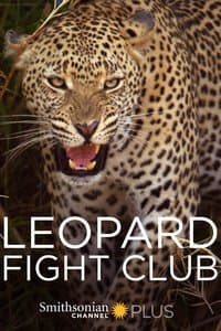 Poster de Leopard Fight Club