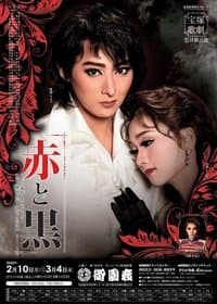 Poster de The Red and the Black