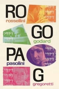 Poster de Il pollo ruspante