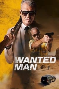 Poster de Wanted Man