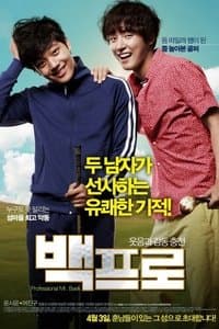 Poster de Mr. Perfect
