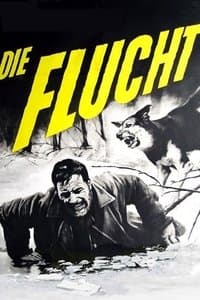 Poster de Man and Beast