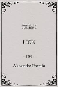 Poster de Lion, London Zoological Gardens