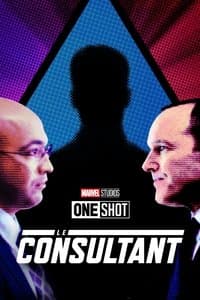 Poster de Le Consultant