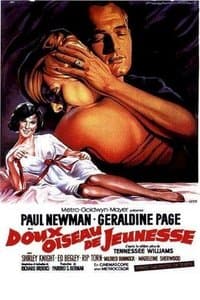 Poster de Doux oiseau de jeunesse
