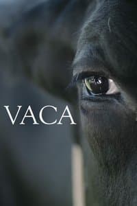 Poster de Vaca