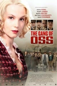 Poster de The gang